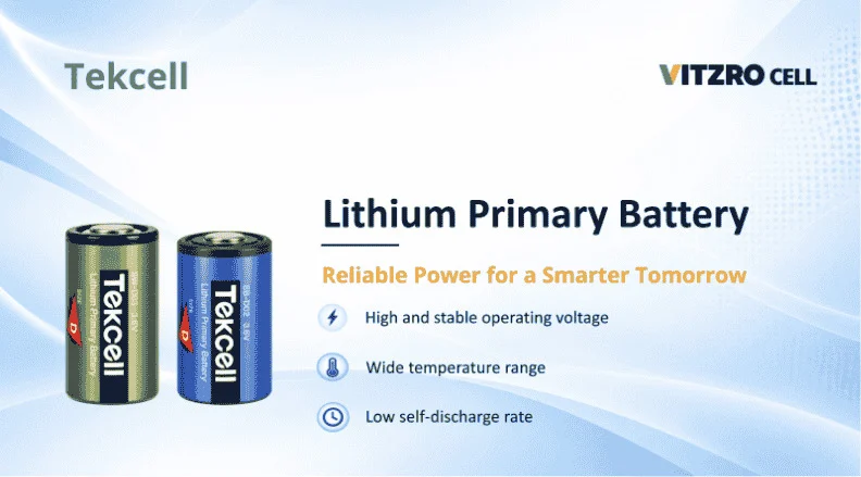 Dependable Lithium Primary Batteries with Bobbin and Wound Designs | VITZRO CELL