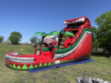 Inflatable Company 85 Will Help You Find the Perfect Bounce House Rentals