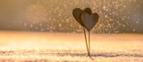 Why Happy Couples Should Also Choose Couple Counselling?