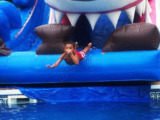 Graceland Bounce Offers the Greatest Bounce House Rentals