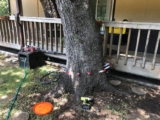 Wild Oaks Tree Service – The Best Landscape Solutions